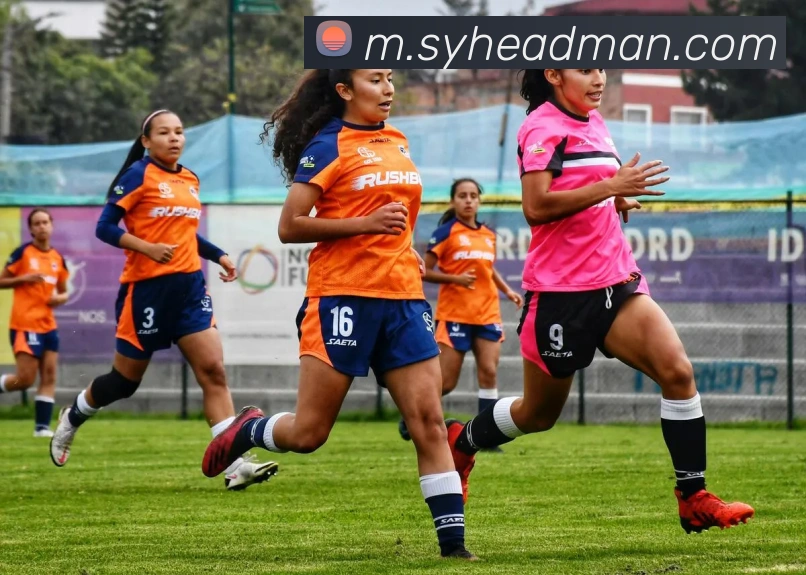 泛亚体育APP 高清赛事图