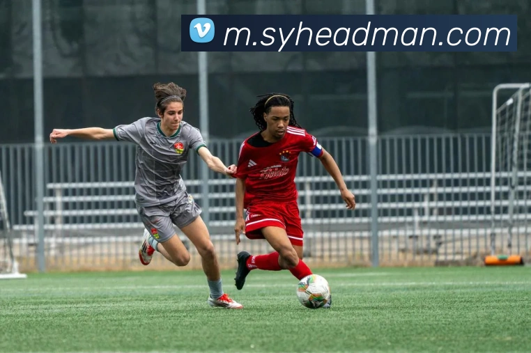 数据防护可视化